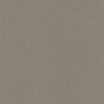 PUxx nr.1  21.7482